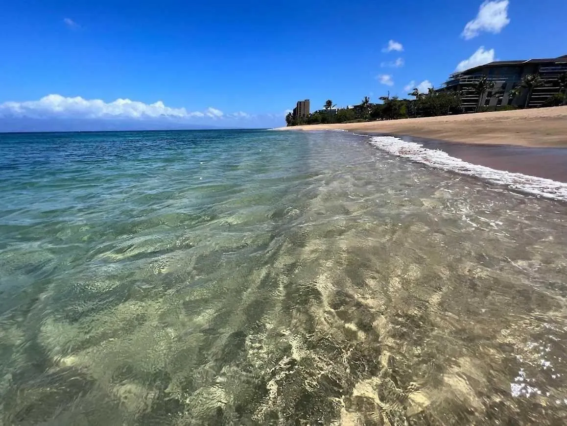 Papakea Resort E204 Kahana 0*,  الولايات المتحدة الأمريكية