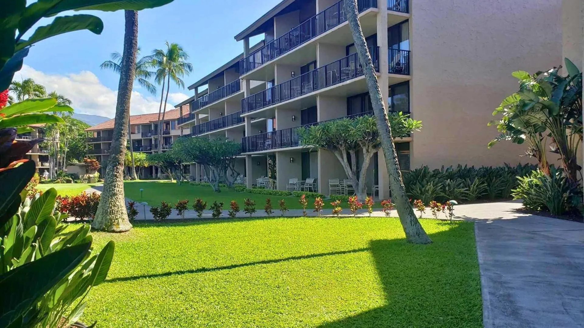 Papakea Resort E204 Kahana 미국